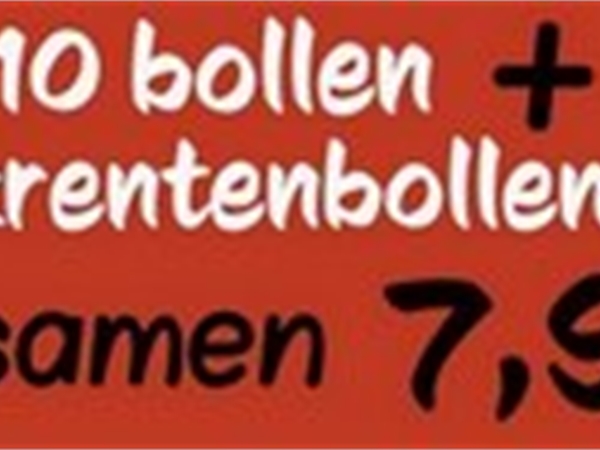 Dagje weg bruin